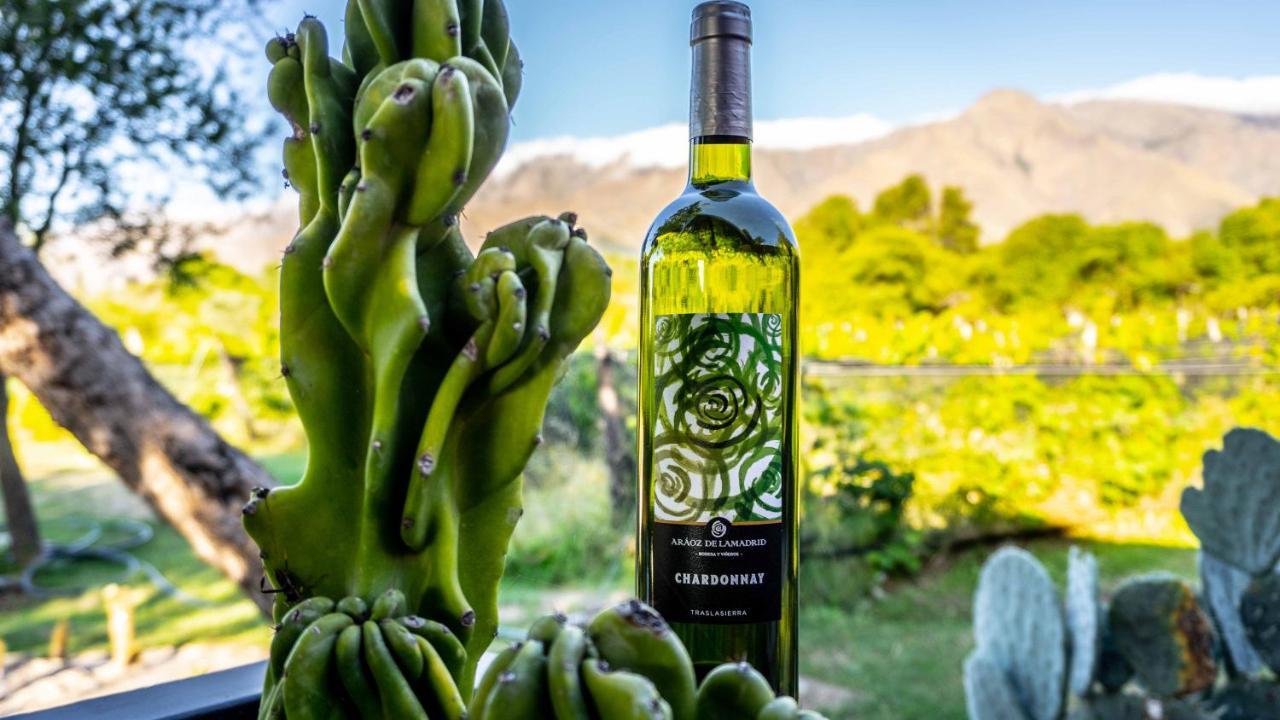 Araoz De Lamadrid Hotel&Bodega San Javier  Eksteriør billede