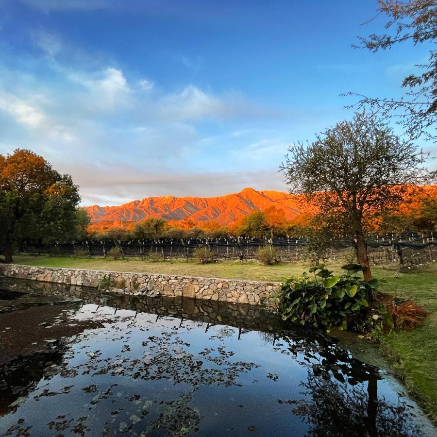 Araoz De Lamadrid Hotel&Bodega San Javier  Eksteriør billede